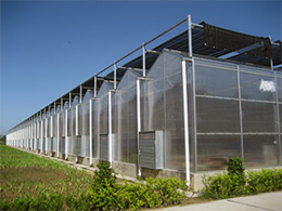 阳光板温室